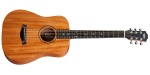 Taylor BT Baby Taylor Acoustic Guitar