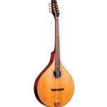 Gold Tone OM-800+ Octave Mandolin