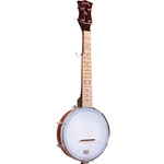 Gold Tone Plucky; Traveler Banjo w/gig bag