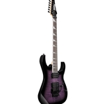 Ibanez GIO RG Electric Guitar