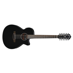 Ibanez AEG5012 12-String Acoustic Electric Guitar