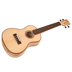 Cordoba 24C Concert Spruce & Maple Ukulele; 03982