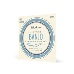 D'Addario EJS60 5-String Banjo Strings, Stainless Steel, Light, 9-20