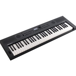 Roland GO:KEYS 5 Music Creation Keyboard